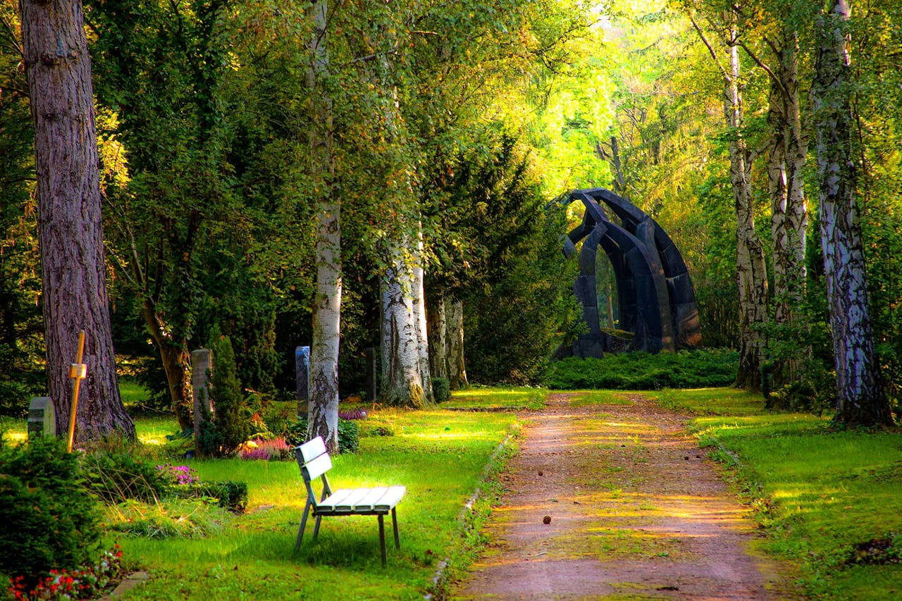 Serene pathway through a forested cemetery area with stone monuments and benches.