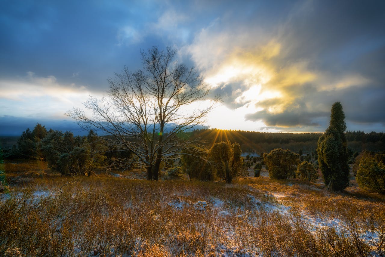 Dramatic sunset over a heathland landscape in Bispingen, Germany.