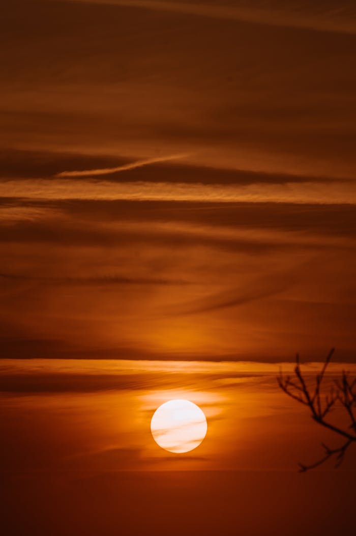 Golden sunset with vibrant sky and silhouetted branches, creating a serene scene.